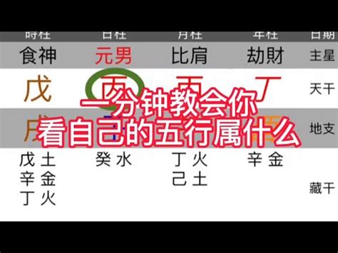 命格屬性查詢